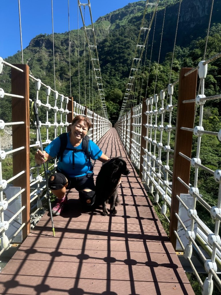 阿里山達娜伊谷、里美避難步道、巨石板步道封面圖