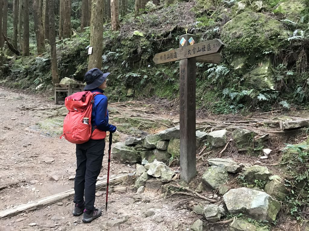 登橫嶺山環走自然步道_118272