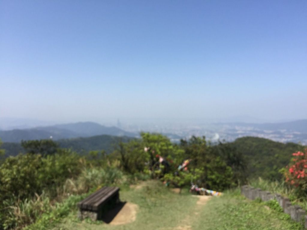 汐止大尖山（大針山）_294619