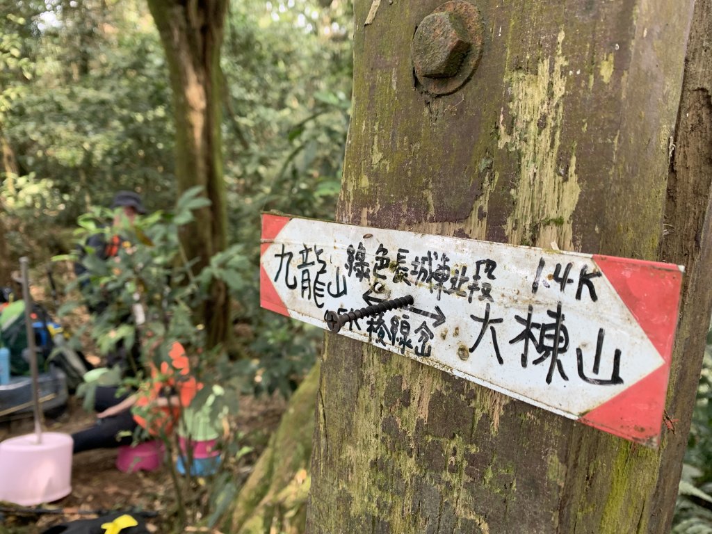 20240330台南雞九凍-雞胸山縱走_2470005