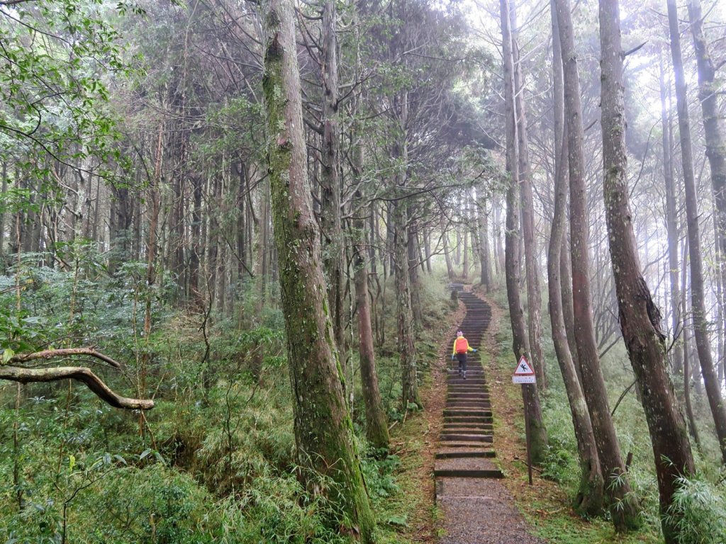 小笠原對高岳慢遊賞楓_767521