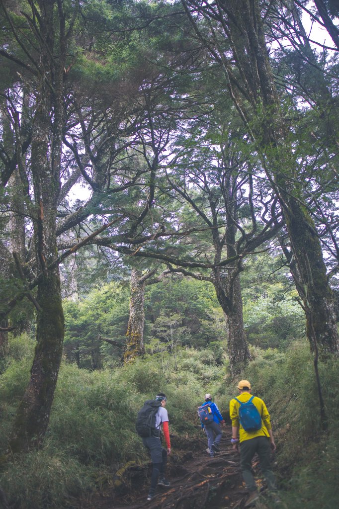 20230422-塔關山&關山嶺山_2534313