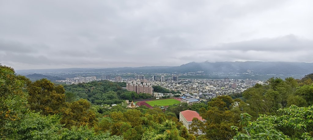 2026/05/10 竹東森林公園步道+樹杞林山O型封面圖