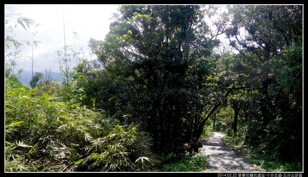 荖寮坑遺址 十分古道 五分山_280073