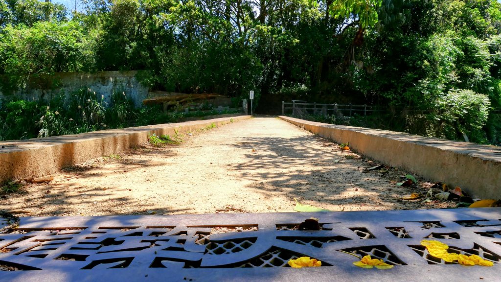 三月流蘇。廉恥_2747554