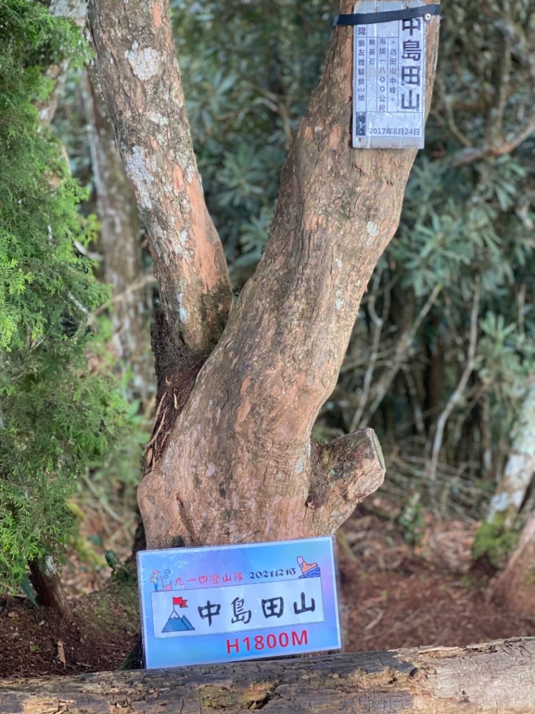 新竹尖石-高島縱走_2612713