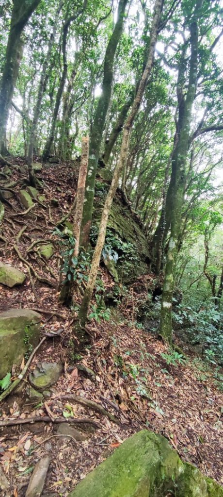 東滿步道+拉卡山_2599102