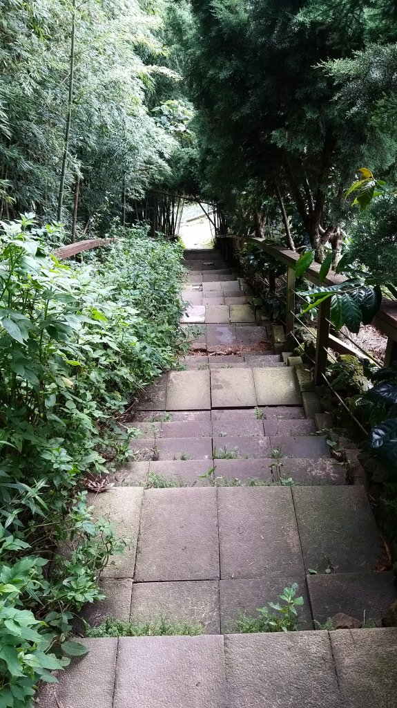 220820-後棟仔山（挑筍古道）_2160777