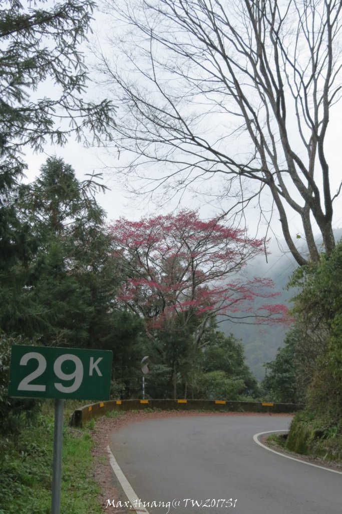 《台中》谷關七雄｜初登屋我尾山20170319_2890469
