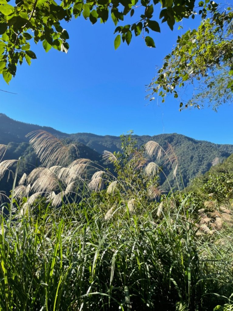 雙十霞喀羅_1484681