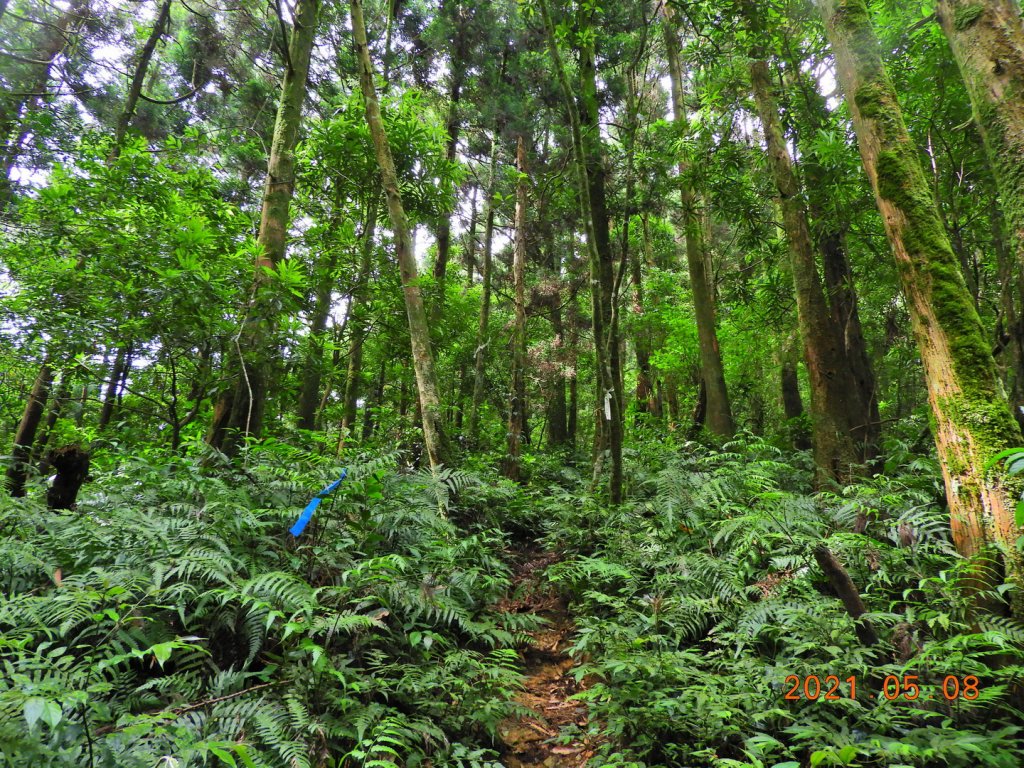 宜蘭 礁溪 大礁溪山_1378804