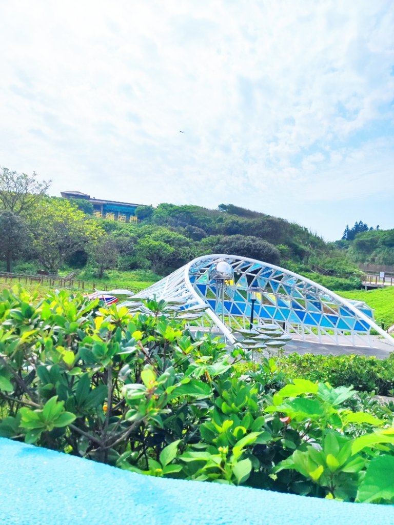 富貴角燈塔老梅綠石槽_2781664