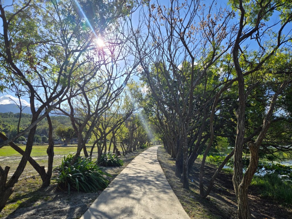 大坡池環潭步道_2999849