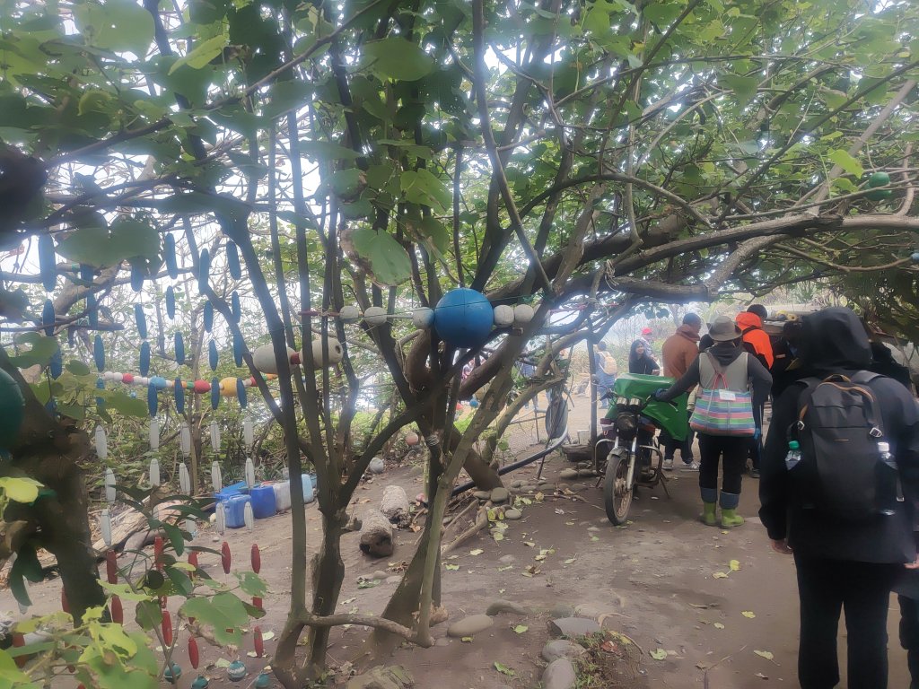 百大步道：阿郎壹古道(南田)_2692683