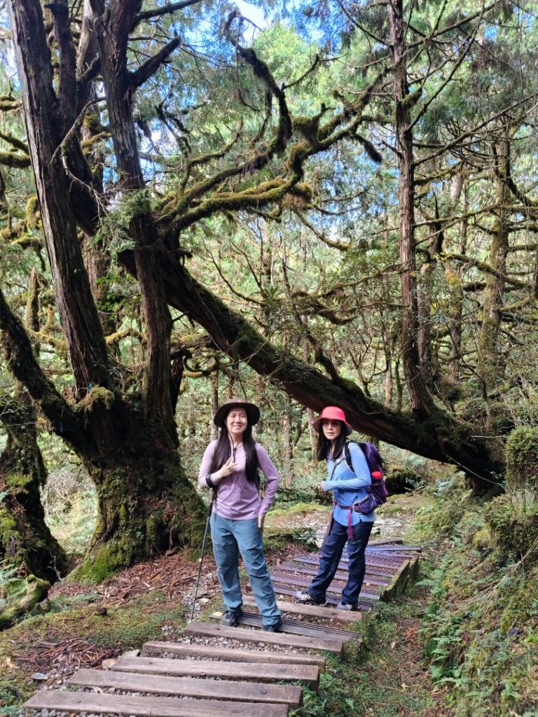 翠峰湖望洋山步道_2940154