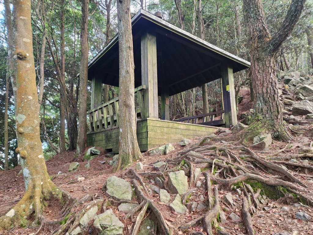 20250831鳶嘴稍來_2928605