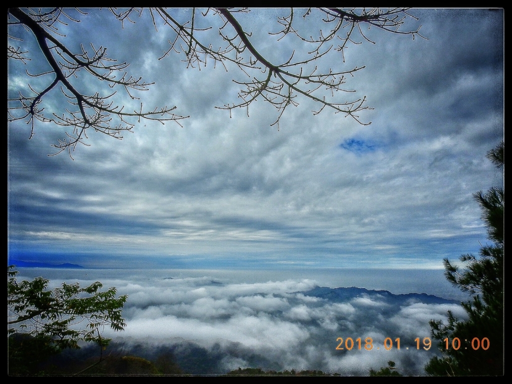 107/1/19 頭嵙山 大坑4號3號步道_262169