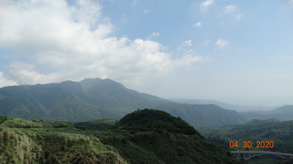 陽明山賞蝶趣_940613