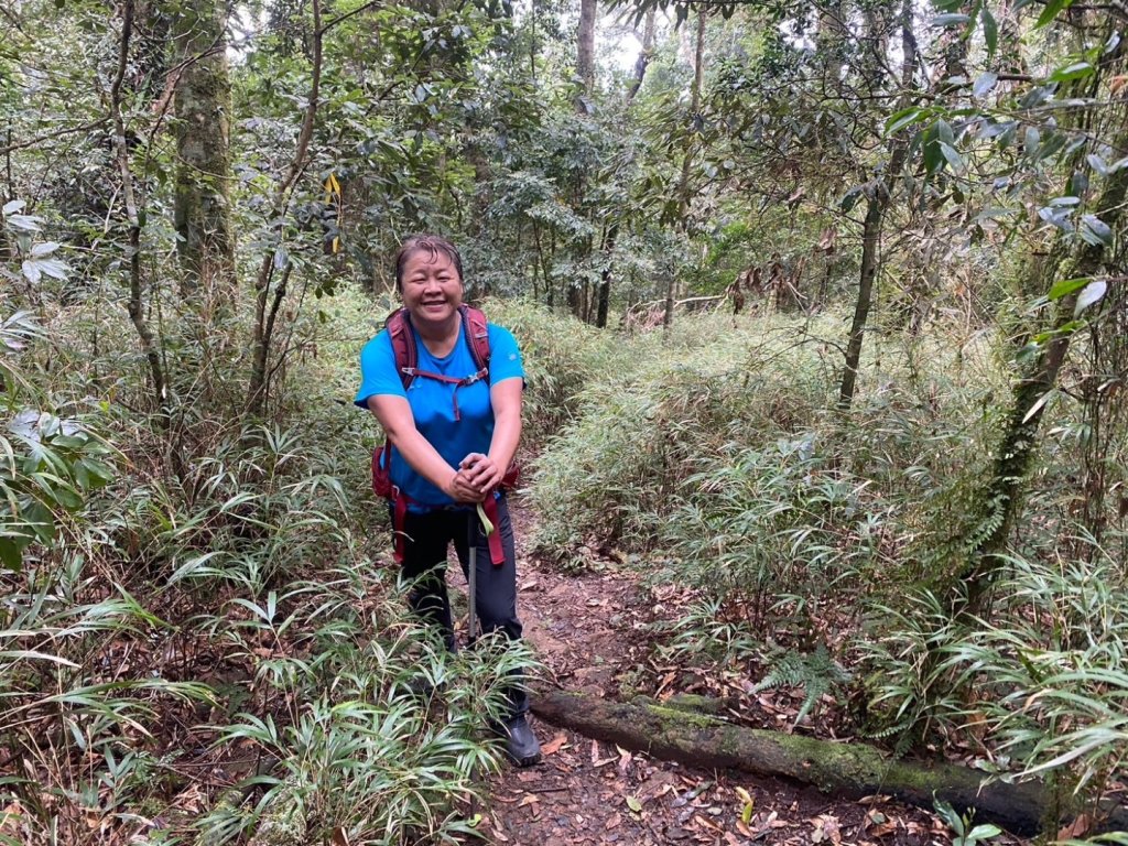 鵝公髻山（小百岳）鵝公髻山東北峰_2449852