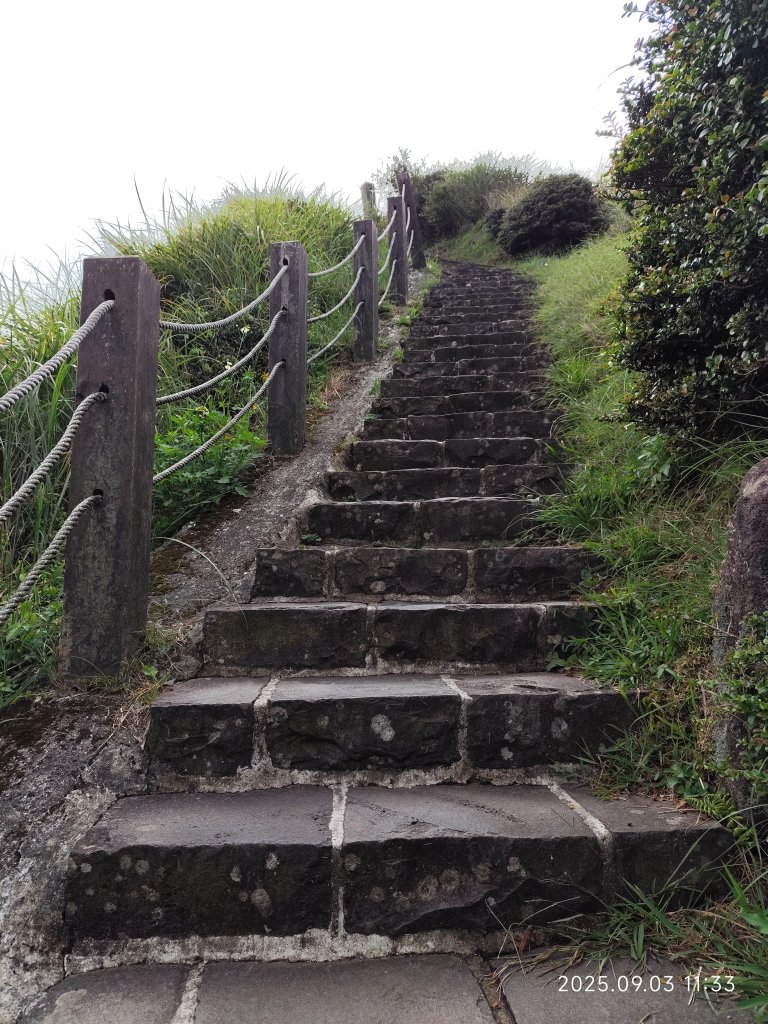 【臺北大縱走 2、3、4】冷水坑→七星山主東峰步道→冷擎步道→小油坑→鵝尾山→內湖許願步道_2878896
