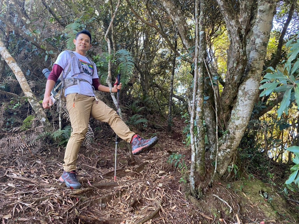長壽山-醜崠山-鳶嘴山【既優雅又狂野的另類選擇】_2673973