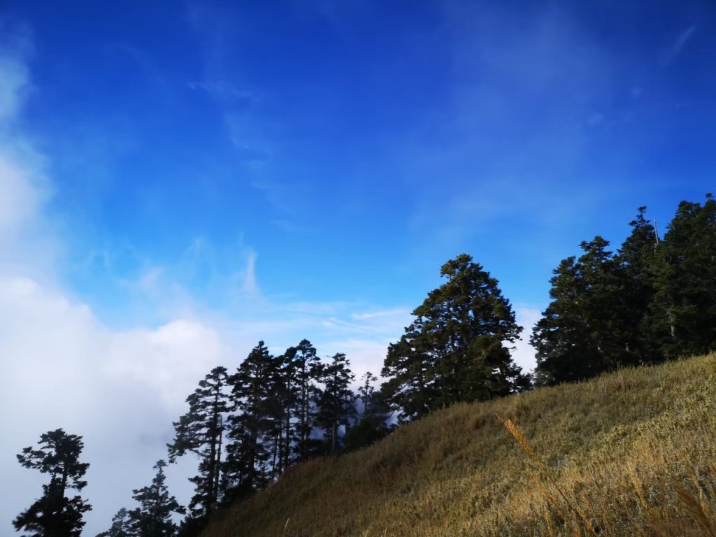 志佳陽大山_2611718