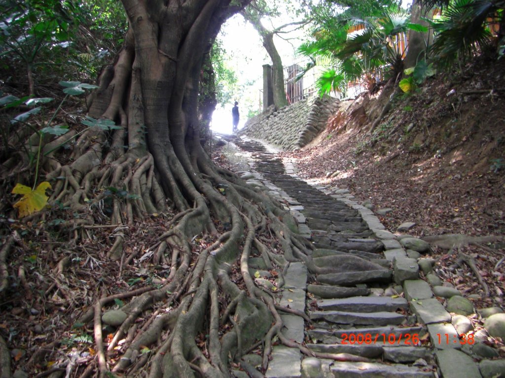 御成路古道&齋明寺古道20081026封面圖