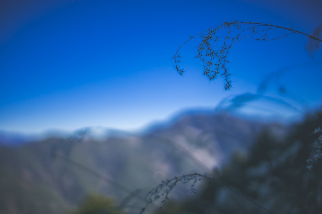 20240216~17-屏風山_2534640