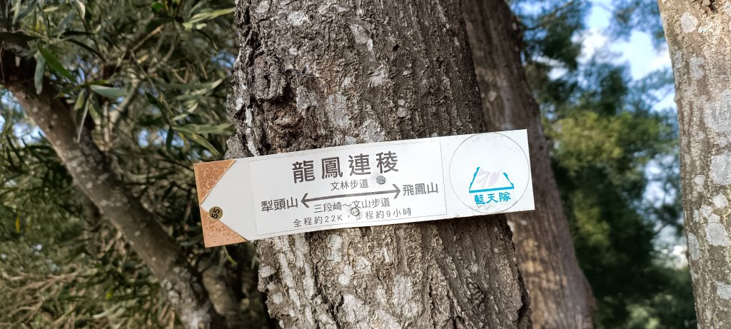 20230114_文山步道_1994273