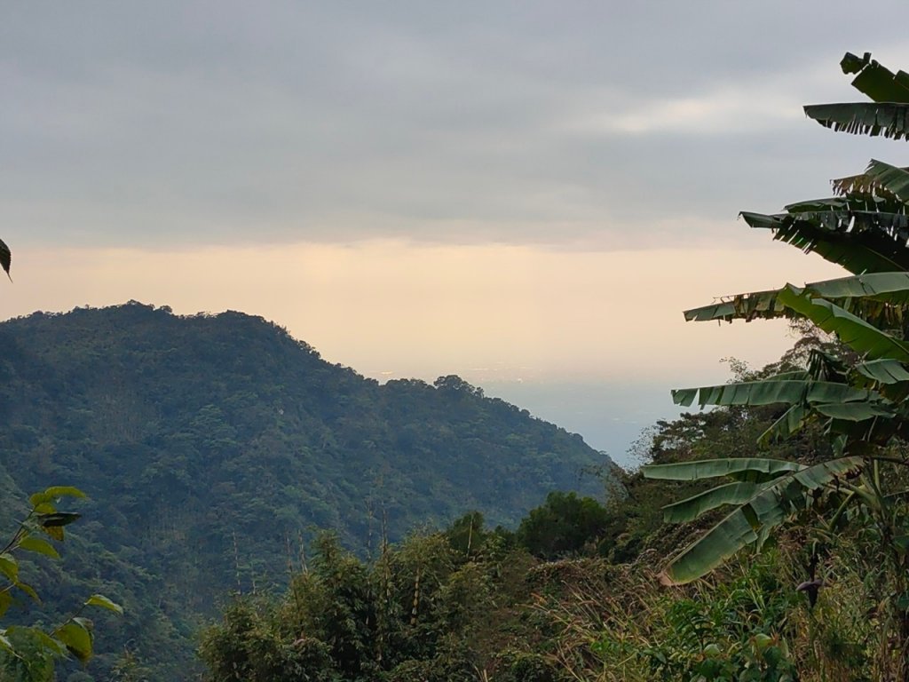 嘉義［阿拔泉山稜線步道］+太平雲梯_2235743