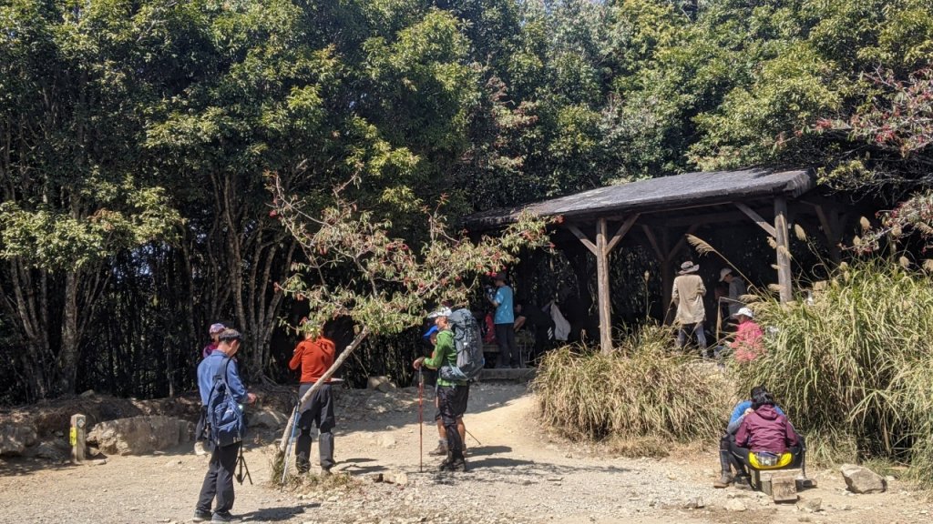 八仙山主峰步道 (松鶴線)_2042838