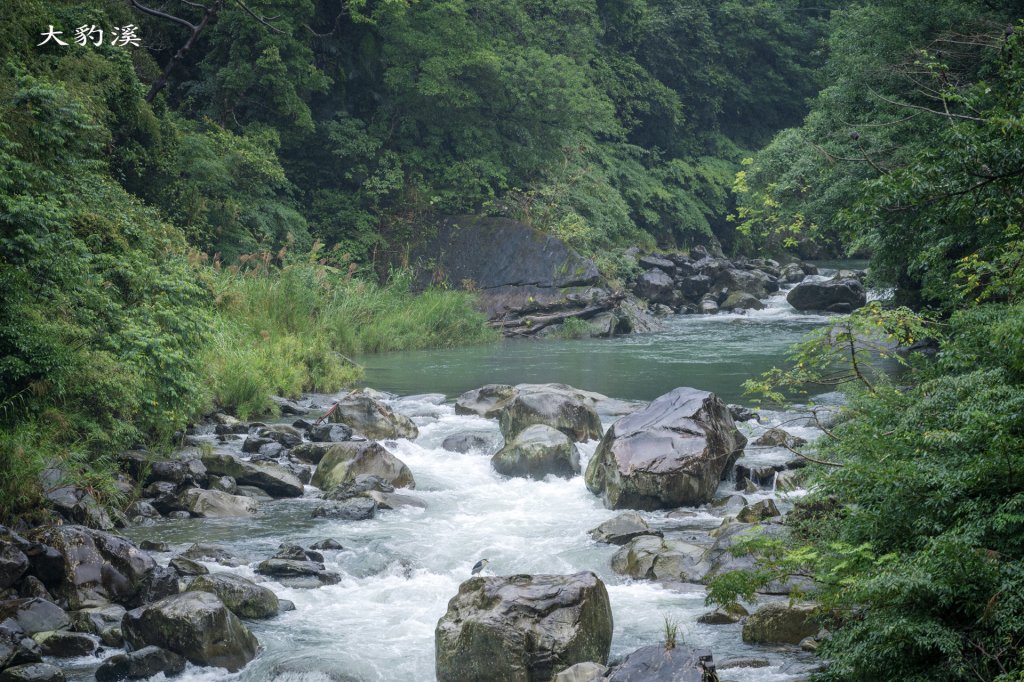 東眼山雨中尋幽_2975361