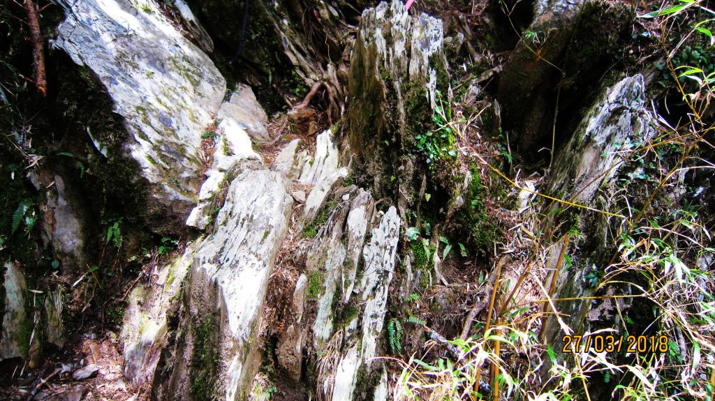 閂山、鈴鳴山 ~ 山巔雲端 , 與美麗山林_307188