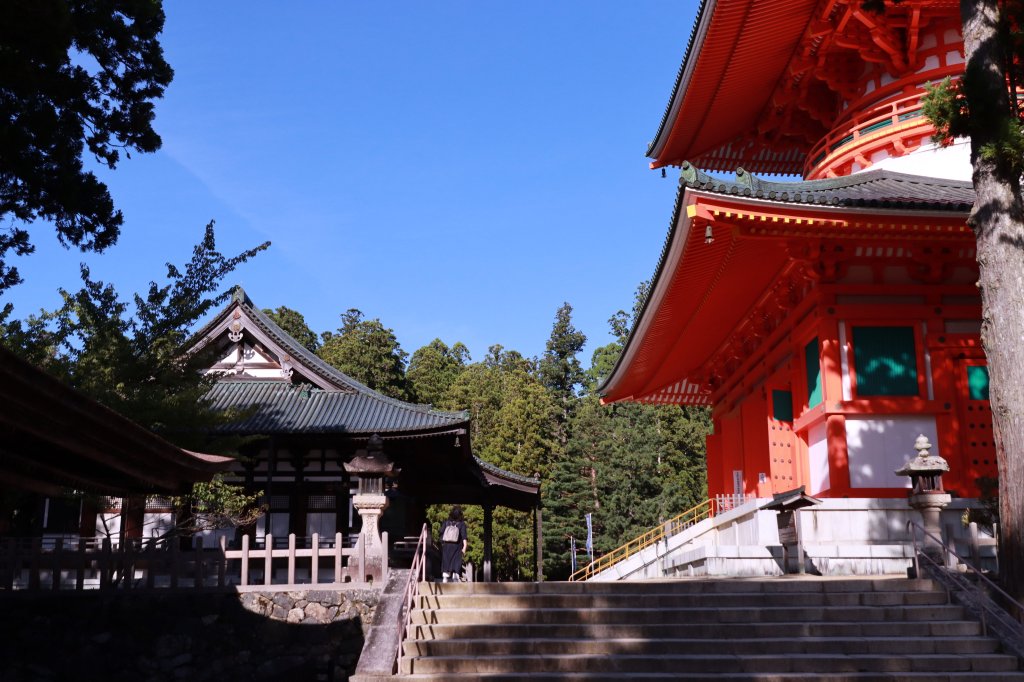 熊野参詣道小辺路：山と村をつなぐ古の道_2923362