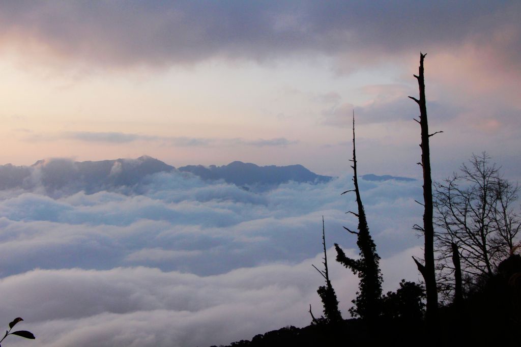 難忘 玉山行 ~ 封存美麗的印記 ... _176728