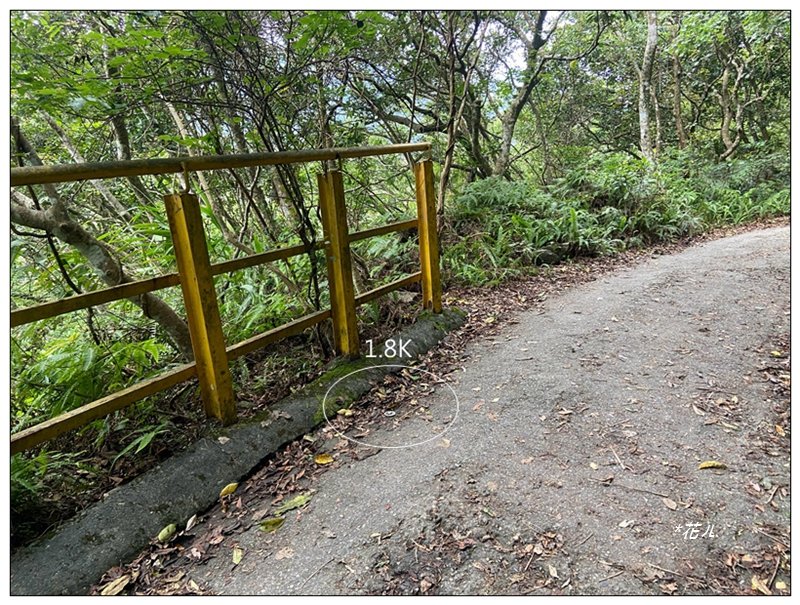 聖母峰、三角崙山 (抹茶山) 連走_2802176