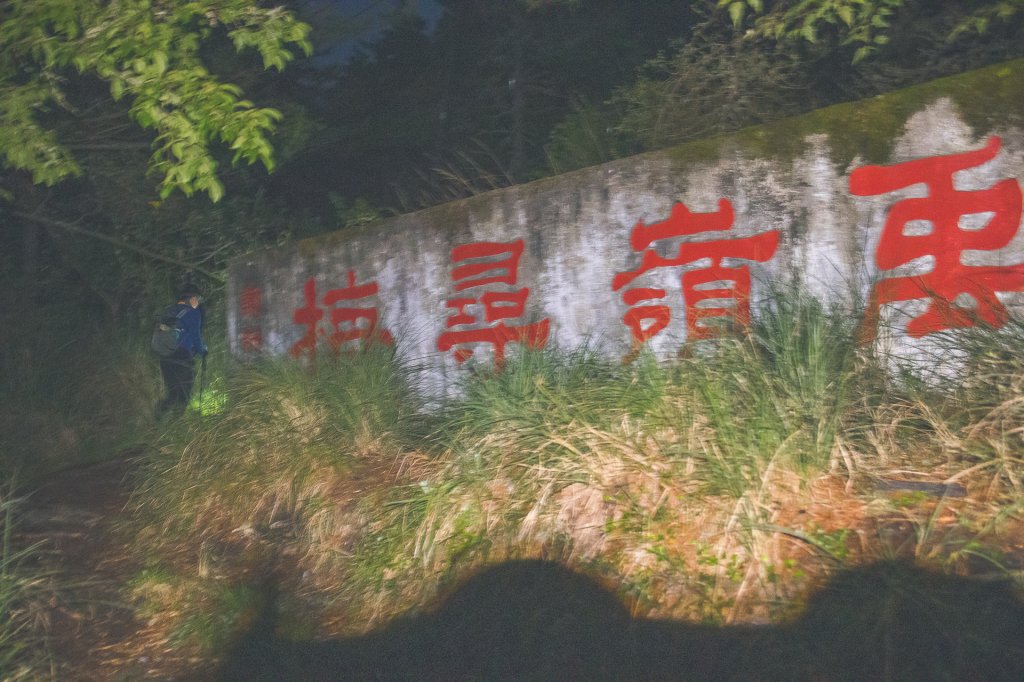 20230610-畢祿山步道_2534432