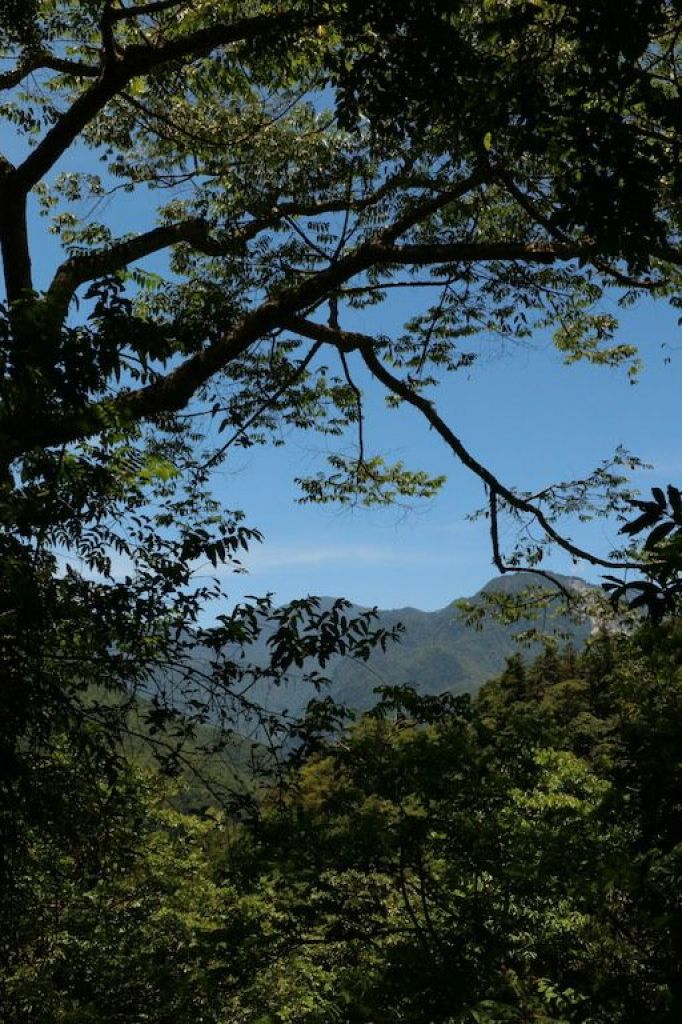 瓦拉米步道_347754