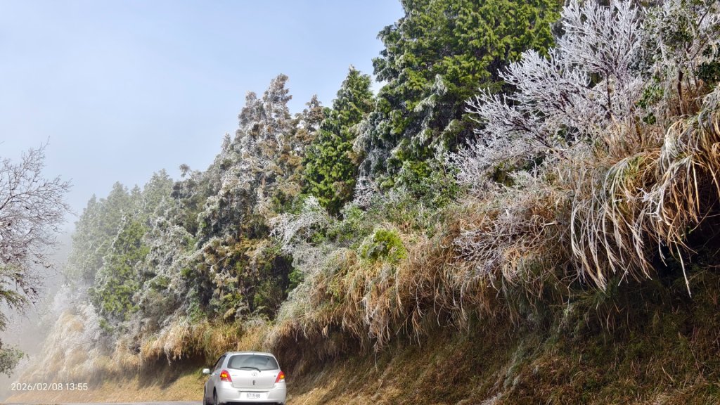 #霧淞 #雲海 #雲瀑 #霧虹 #太平山 #望洋山 #觀雲步道 #翠峰道路  2/8_2995362