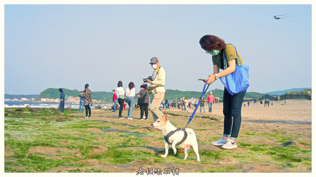 青山瀑布  老梅綠石槽_1363087