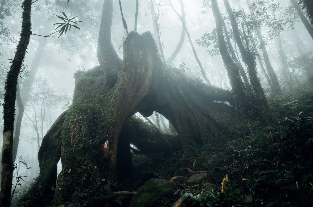 十七歲少女之湖｜松蘿湖包場露營_1408678