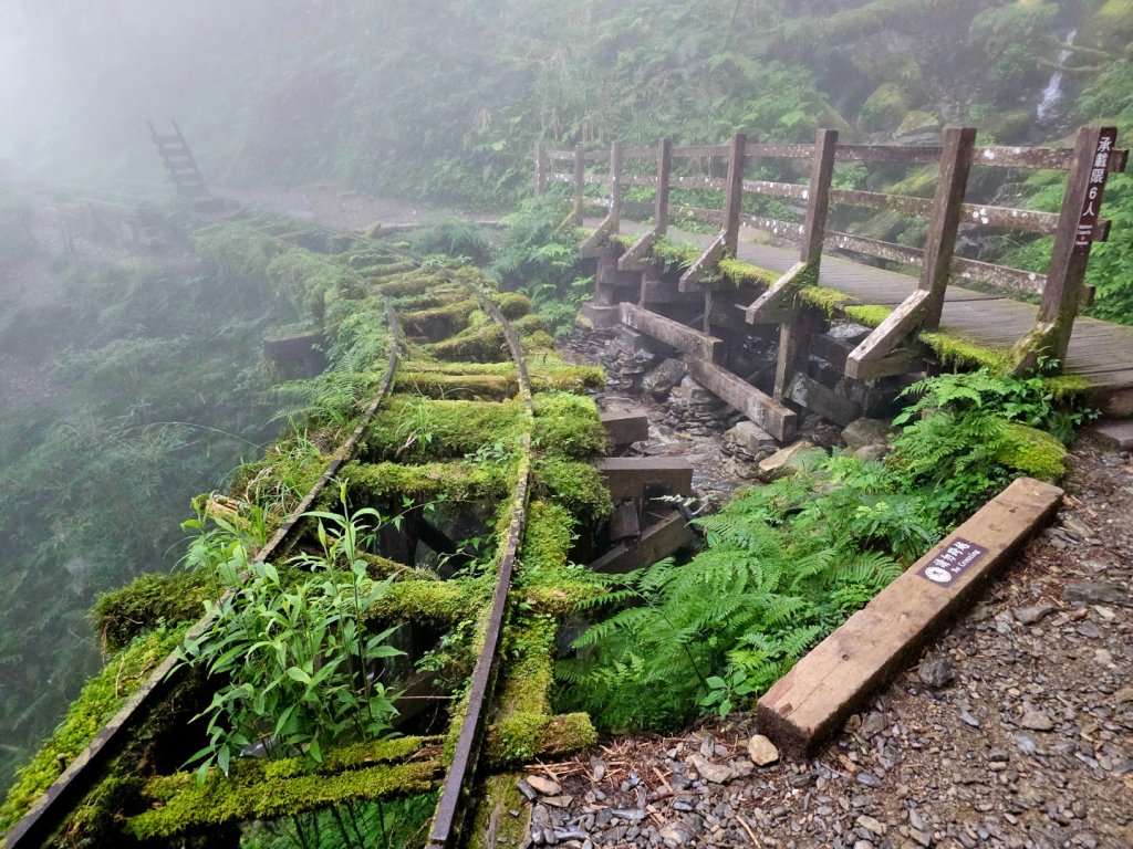 見晴懷古步道-(宜蘭)臺灣百大必訪步道封面圖