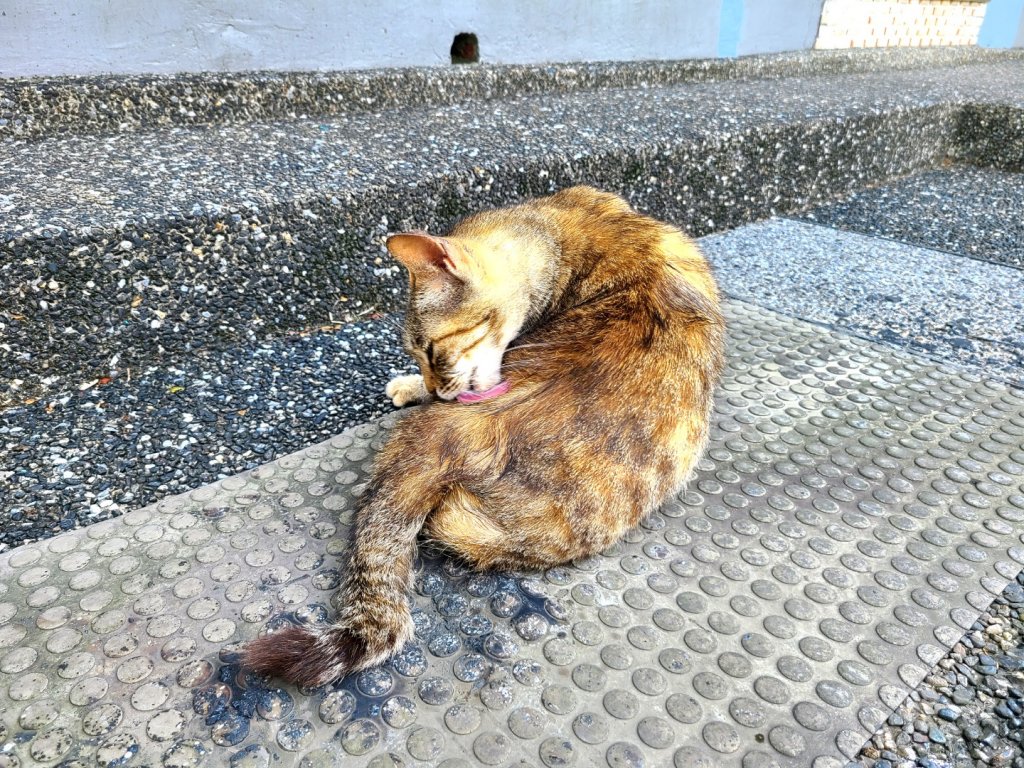 三貂嶺越嶺猴硐步道.貓村.猴硐坑博物館_2112648