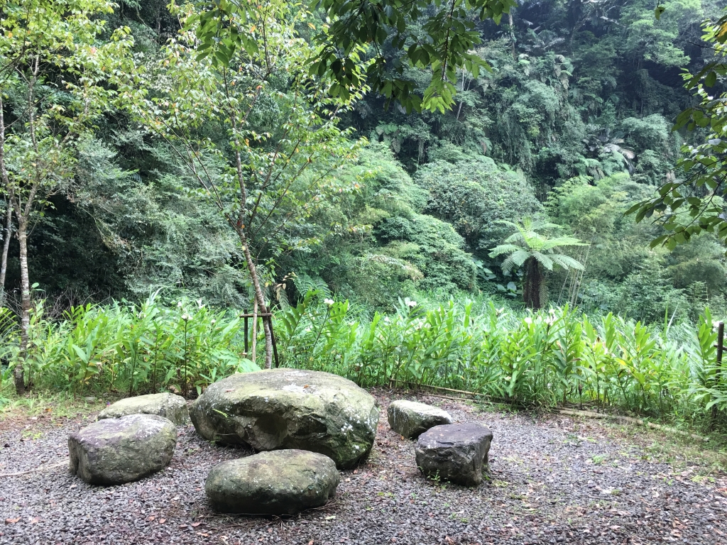 野薑花步道、竹坑溪龍宮瀑布_262651