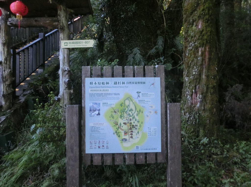 檜木原始林步道_672663