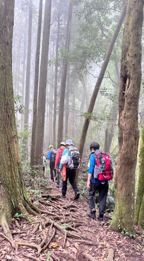 光天高山 - 向天湖山(小百岳32) 小O一圈_2876936