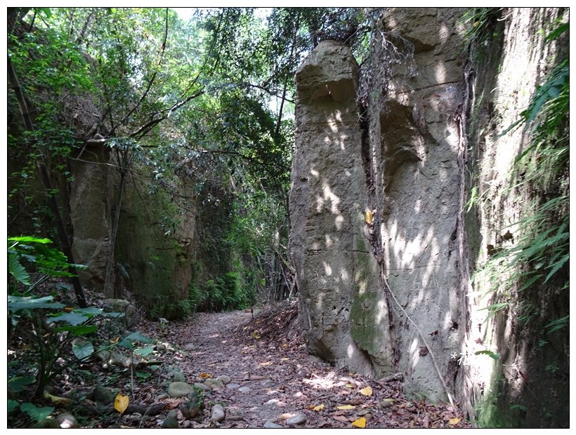 八卦山/一線天步道_904444