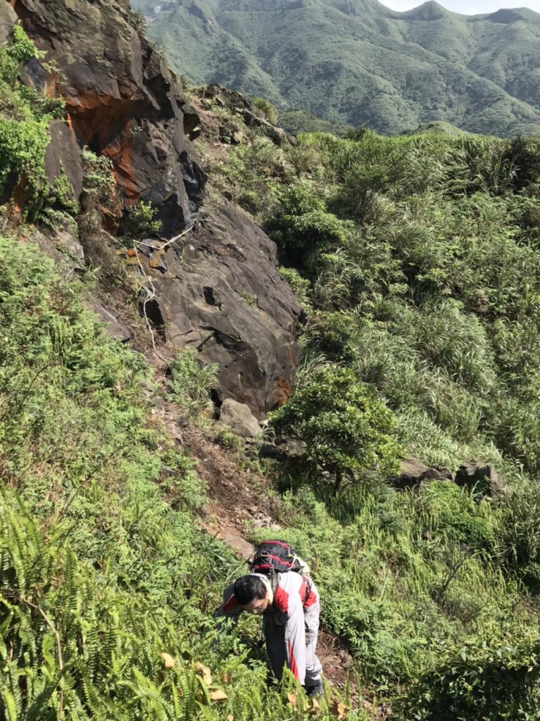 2020-0514半屏山茶壺山金瓜石環形_1066892