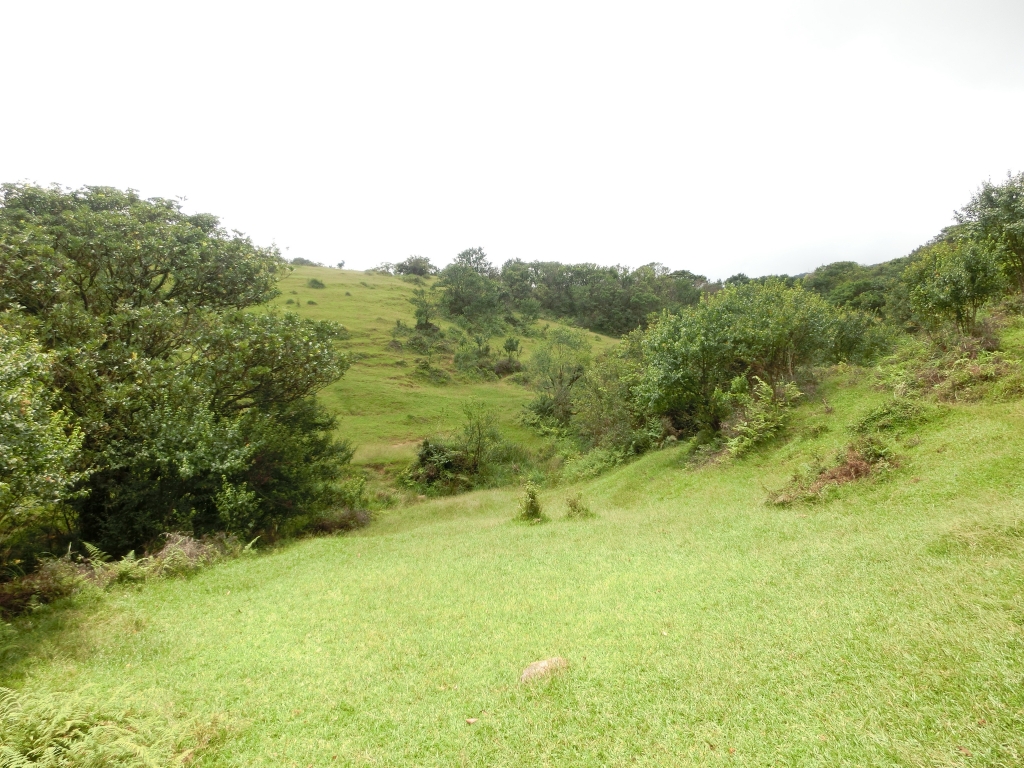風櫃嘴．頂山．石梯嶺．擎天崗_94363