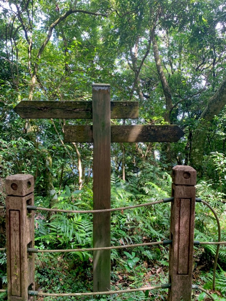 獅仔頭山/小百岳_1453953